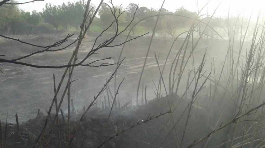 Gentileza <i> diario Tiempo de San Juan</i>. <br>