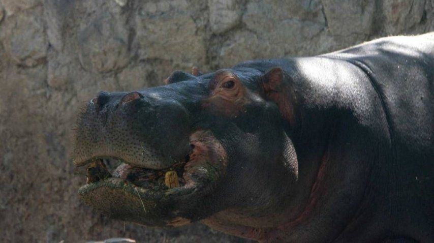 Foto: Diario Los Andes. <br>