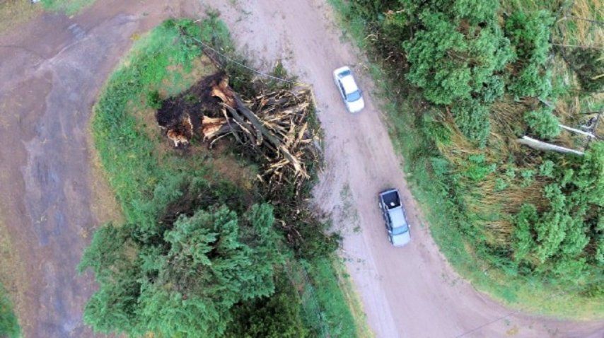 Gentileza: <i> diarioelcallejero.com.ar</i>