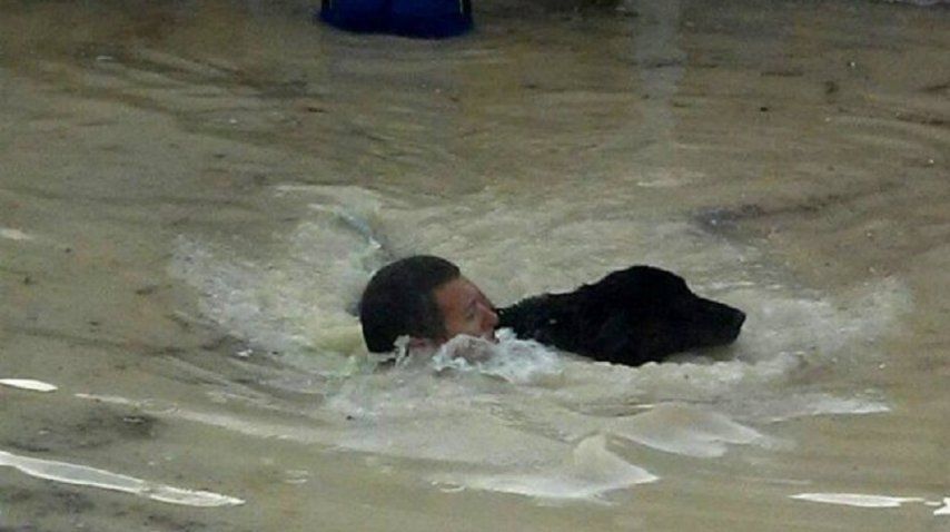 Foto: Matías Alarcón. <br>