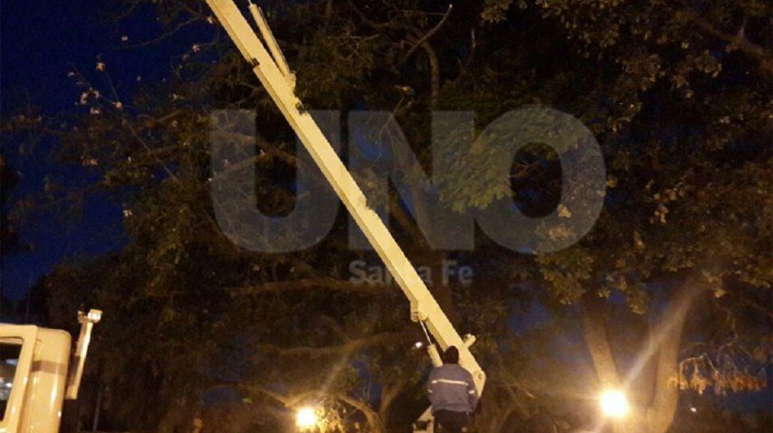 Gentileza diario Uno. <br>