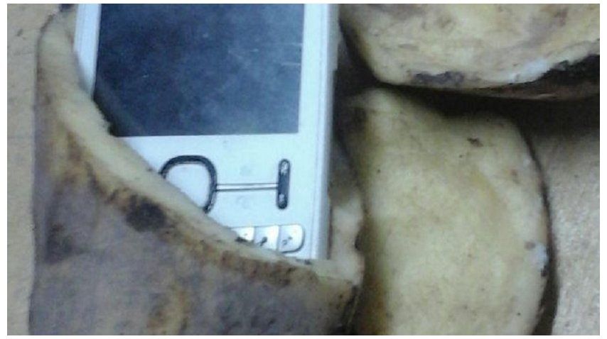 Gentileza <i> portal SL24</i>. <br>