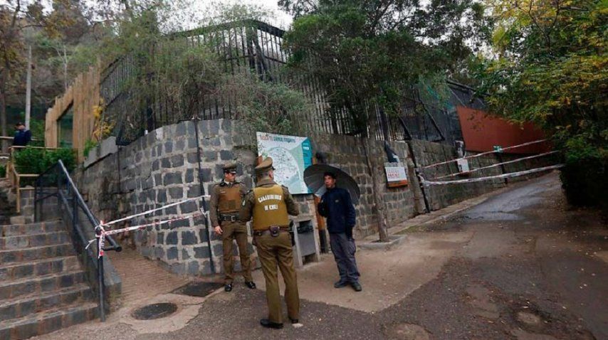 Foto: diario La Tercera. <br>