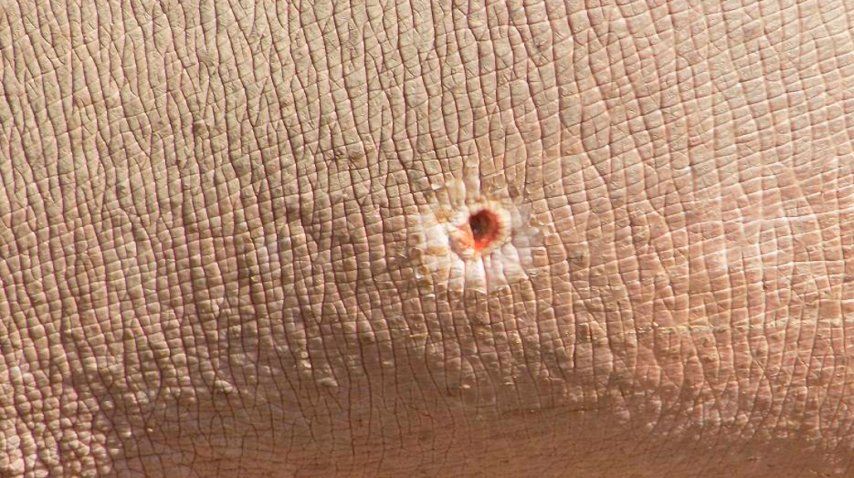 Gentileza. Gobierno de Mendoza