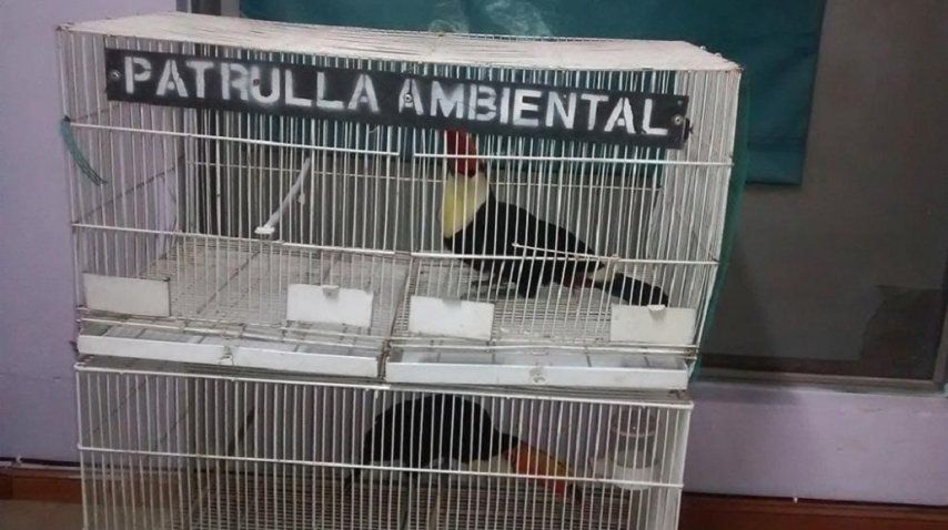 Gentileza<i> diario La Voz</i>. <br>