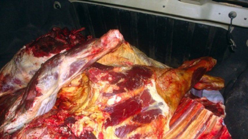 Foto: <i> diario de Río Negro</i>. <br>