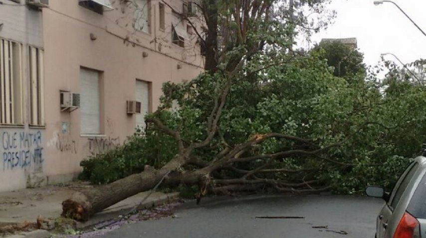 <p> Violento tornado en Catamarca causó la muerte de un adolescente y graves destrozos</p><p></p>