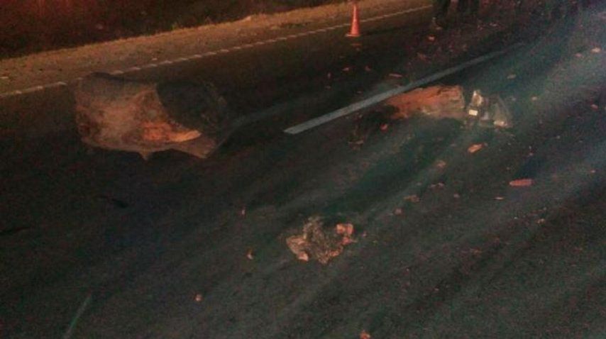 Autopista Tucumán-Famaillá