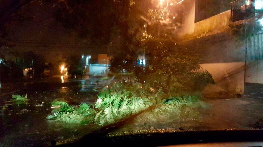 Temporal Misiones.<br>