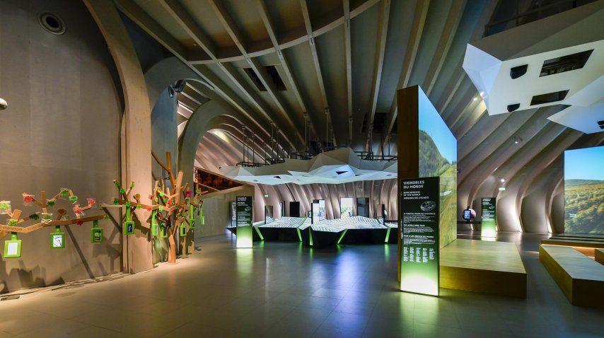 La Cité du vin<br>
