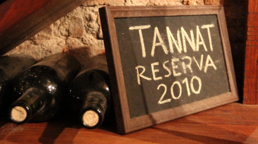 El la tannat, clásica uva uruguaya<br>