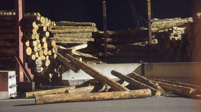 Tsunami de dos metros afectó Nueva Zelanda tras sismo de 7,8 grados Richter.