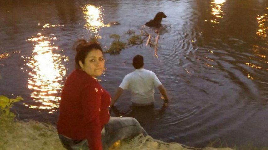 Rescataron a una perra de un arroyo - Crédito: La Mañana de Neuquén