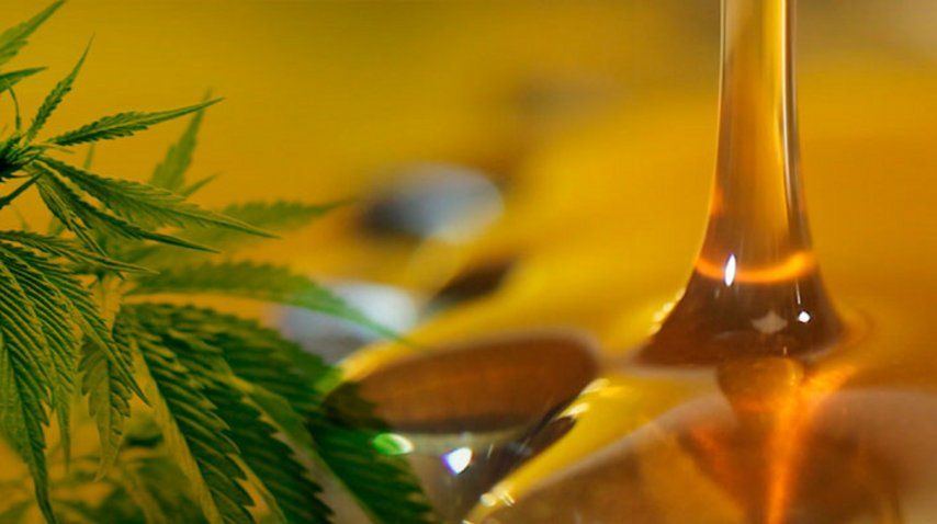 Aceite de cannabis
