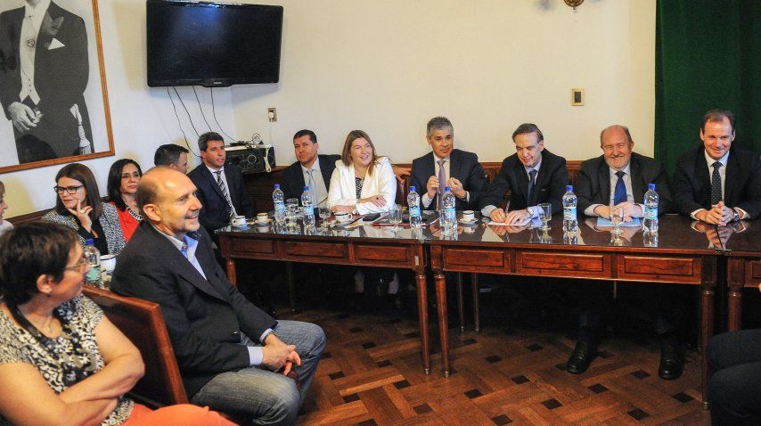 Reunión de Senadores y Miguel Pichetto