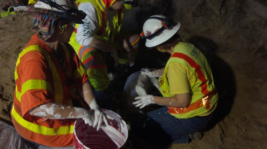 Tuvieron que cubrir con yeso las piezas<br>