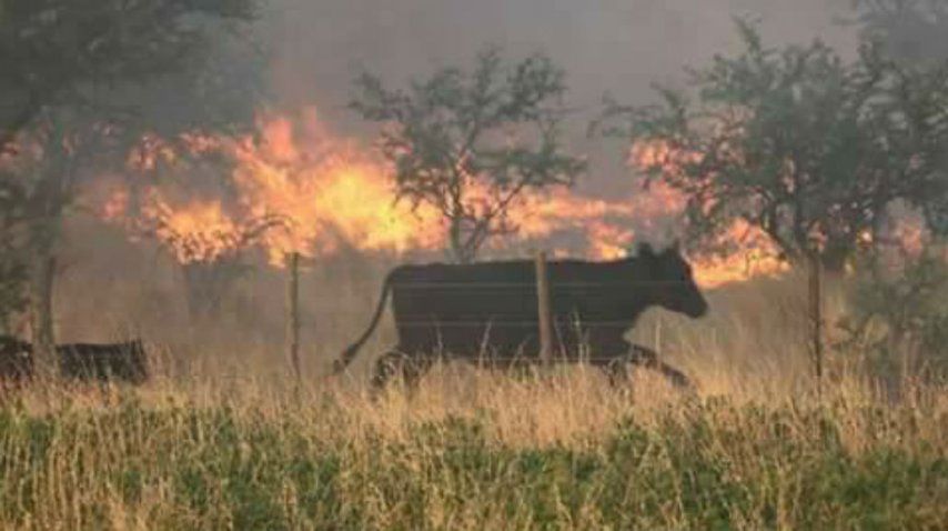 Así es el incendio en La Pampa<br>