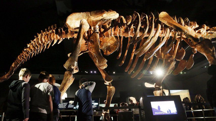 El Titanosauri, el dinosaurio más grande del mundo 