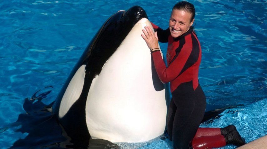 Tilikum y Dawn Brancheau