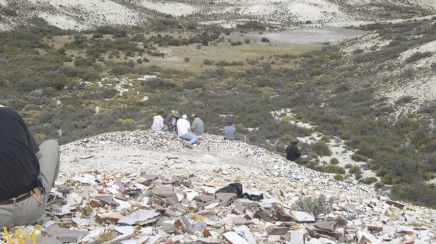 Encontraron al tomate más antiguo de la historia
