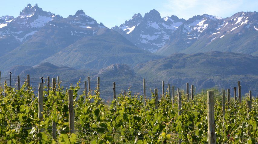 La fiesta de los Viñedos vuelve en marzo<br>