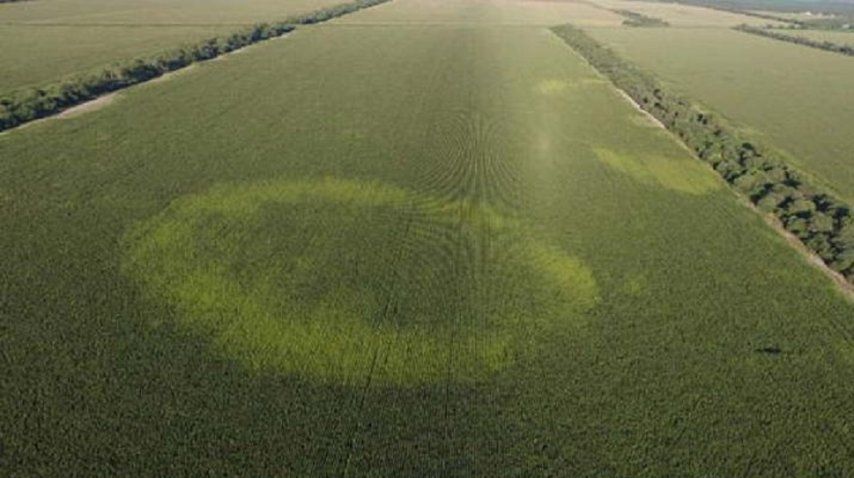 La marca en un campo de Santiago del Estero<br>