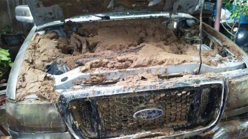 Vio un video del temporal y lo contactó por Facebook para restaurar su camioneta