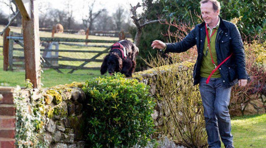 Molly, la única perra en el mundo entrenada para rescatar gatos