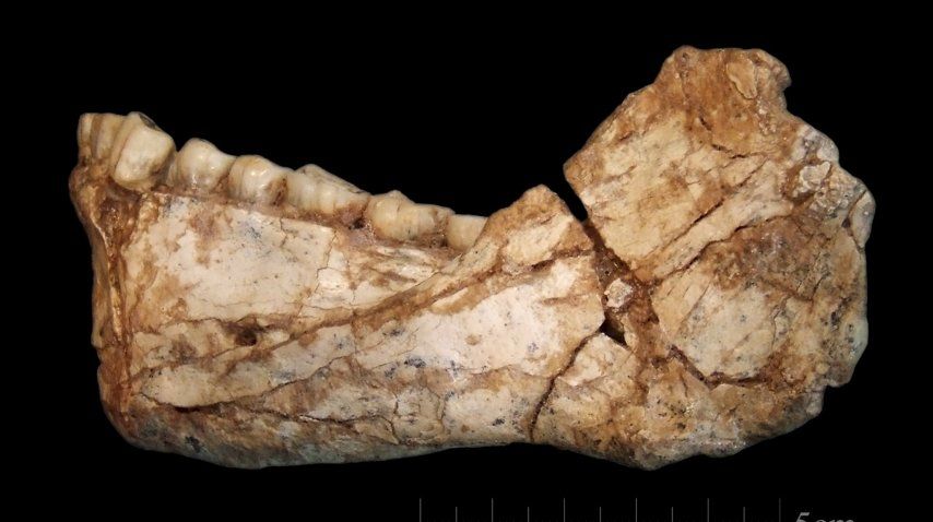 <p> Hallaron en Marruecos los restos de Homo Sapiens más antiguos</p><p></p>