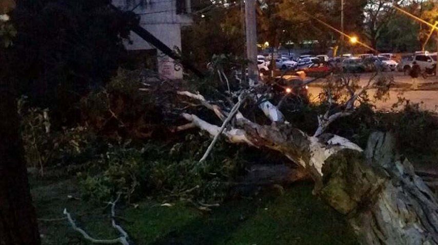 Así quedó Jujuy tras el temporal