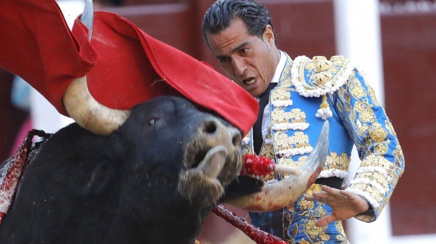 El matador Iván Fandiño murió este sábado en Francia<br>