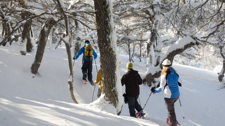 Hay tiempo para toda clase de actividades en la nieve<br>