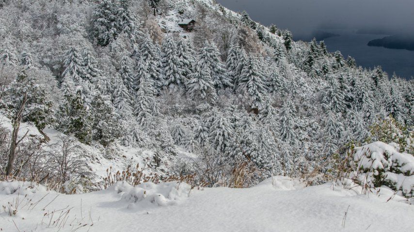Blanco en primer plano, y el lago de fondo<br>