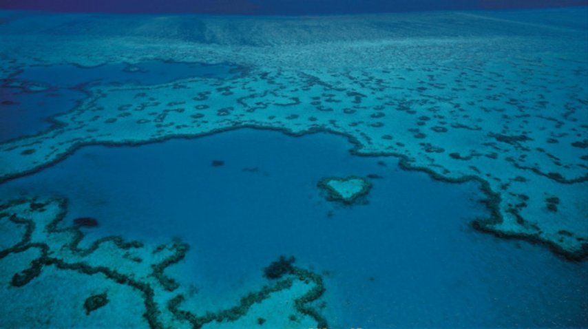 La Gran Barrera de Coral está en peligro por el cambio climático<br>