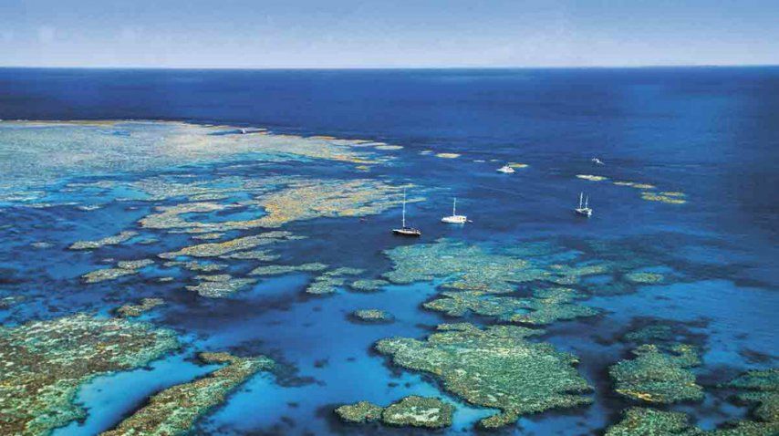 Todavía se reciben visitas en la Gran Barrera de Queensland<br>