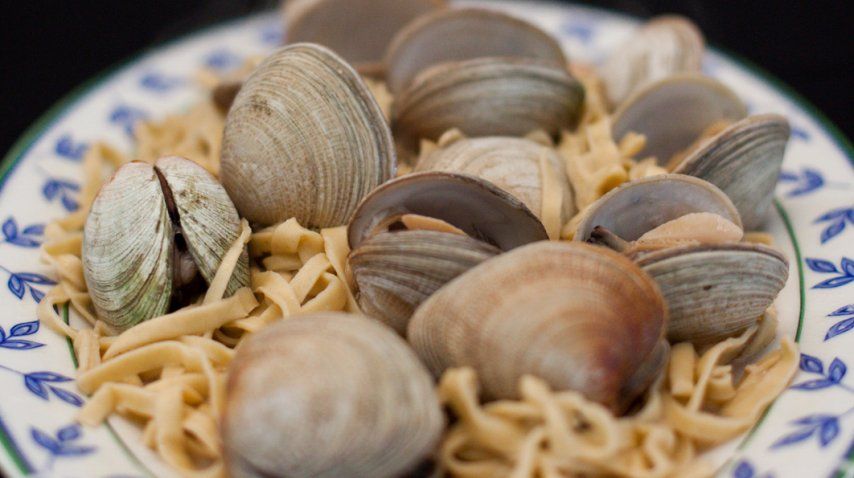 Todo el sabor del mar en el plato<br>