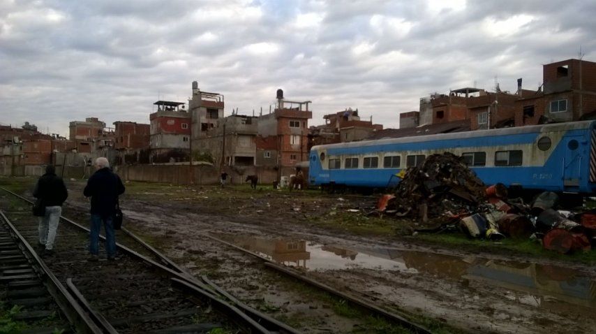 Rescataron seis caballos<br>