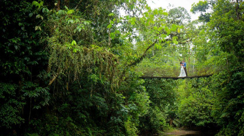 Toda la exuberancia de la selva para adornar un día perfecto<br>