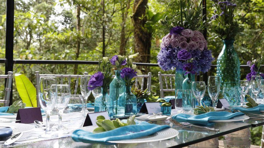 La decoración del ambiente corre por cuenta de la naturaleza<br>