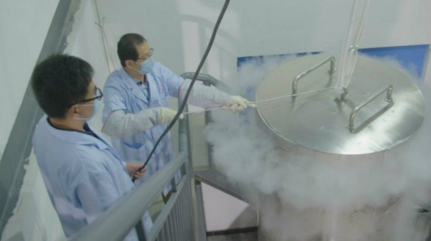 La mujer fue congelada cinco minutos después de morir<br>